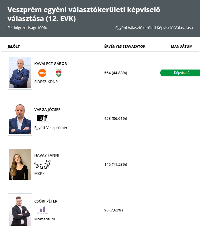 veszprem-valasztas-januar-19.jpeg